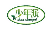 少年派
